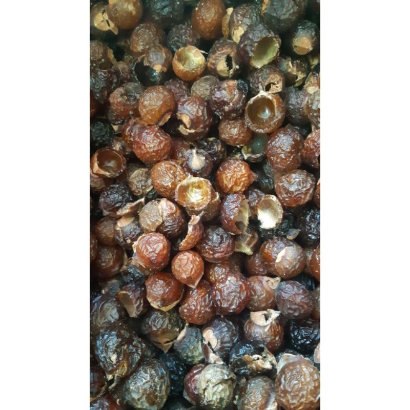 Quả bồ hòn khô tách hạt 49k1 kg