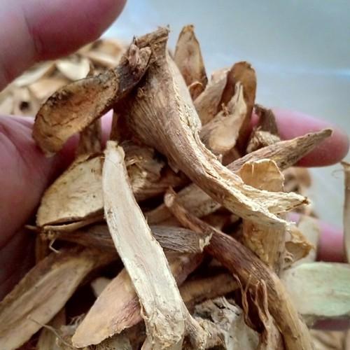 1kg củ gai khô giúp an thai