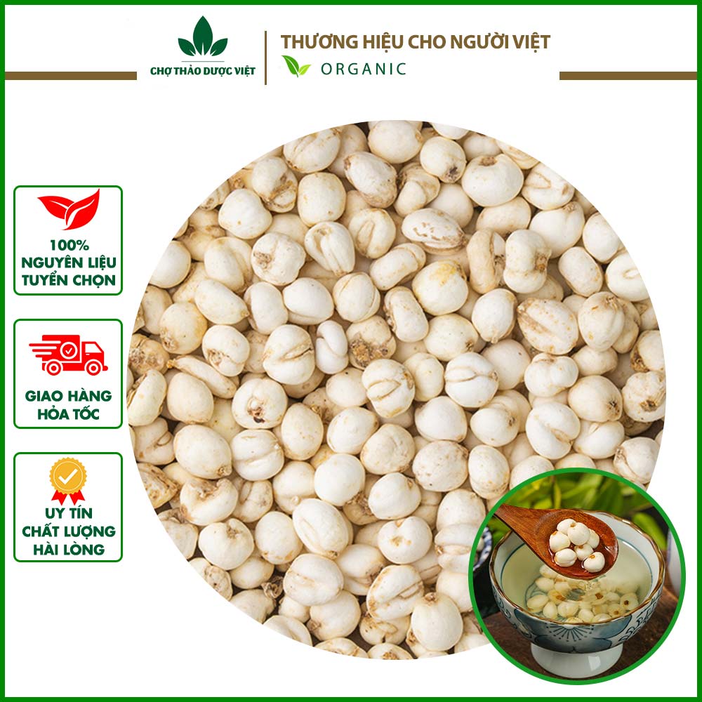 100g xuyên bối mẫu