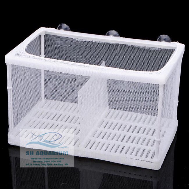 [HOÀN TIỀN 10%]LỒNG DƯỠNG CÁ CẢNH ĐÔI BOYU NB-3202