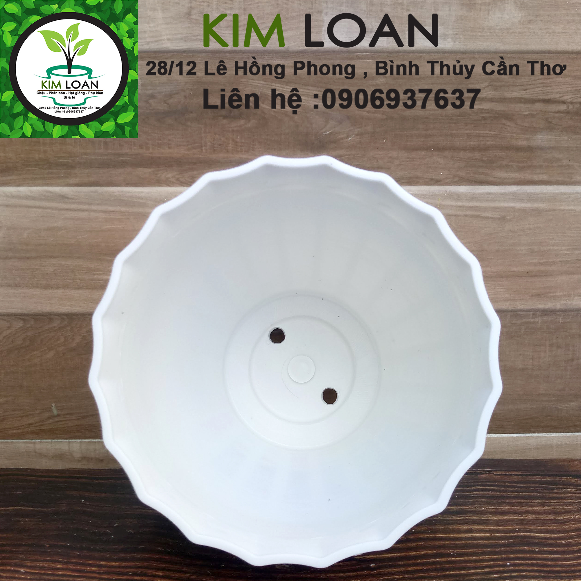 Combo 4 chậu tròn mini trắng hoa văn sọt tre 17x14cm