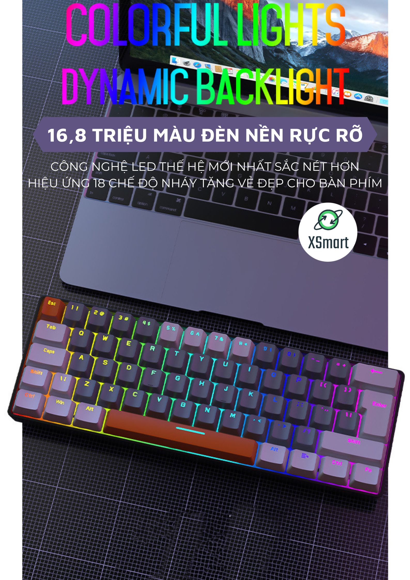Bàn Phím Cơ RGB Led 18 Chế Độ Có Dây T60 Trục Cơ Red Switch Gõ Êm Giảm Ồn Layout 62 Phím Nhỏ Gọn Có HOTSWAP Cao Cấp Dùng Cho Máy Tính/ Laptop/ PC