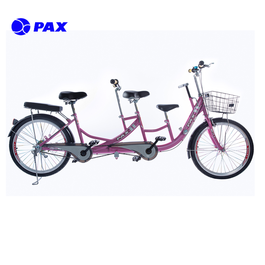 [HCM]Xe đạp đôi PAX-2-SPORT