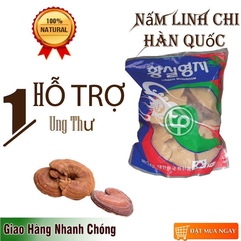 [HOT] Nấm linh chi Hàn Quốc thái lát - Thảo Dược Tấn Phát