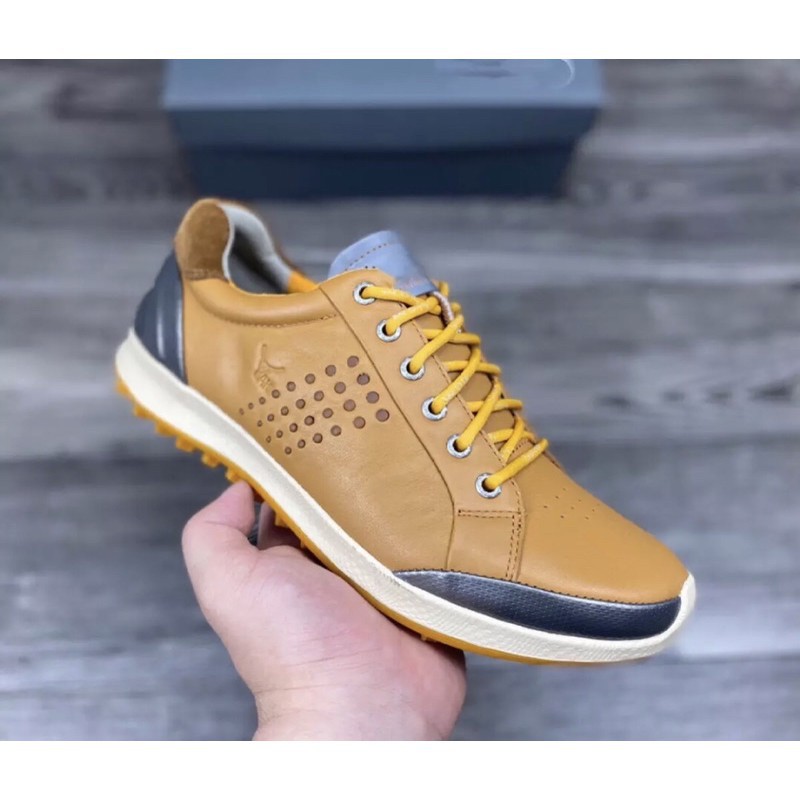 GIÁ SỐC  giày golf nam - giầy golf ecco nhập khẩu