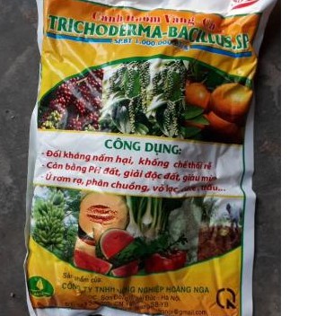 Nấm đối kháng Trichoderma-Bacillus.sp (1000 gr )