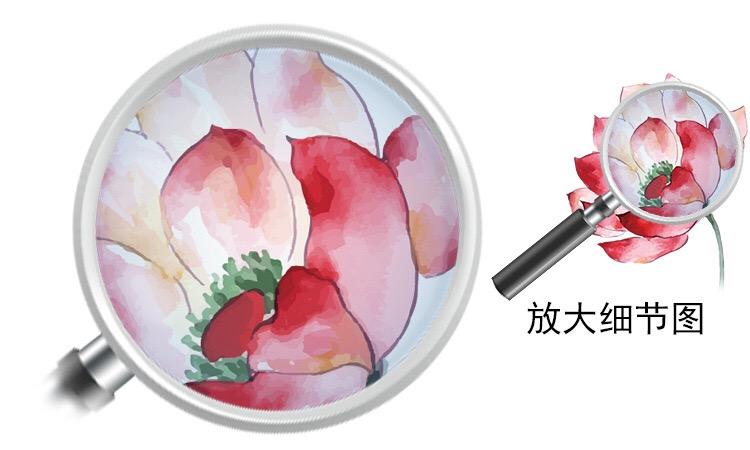 [HCM]Decal Dán Kính Cao Cấp - Hoa Sen đỏ ( 60x116 )-DK1091