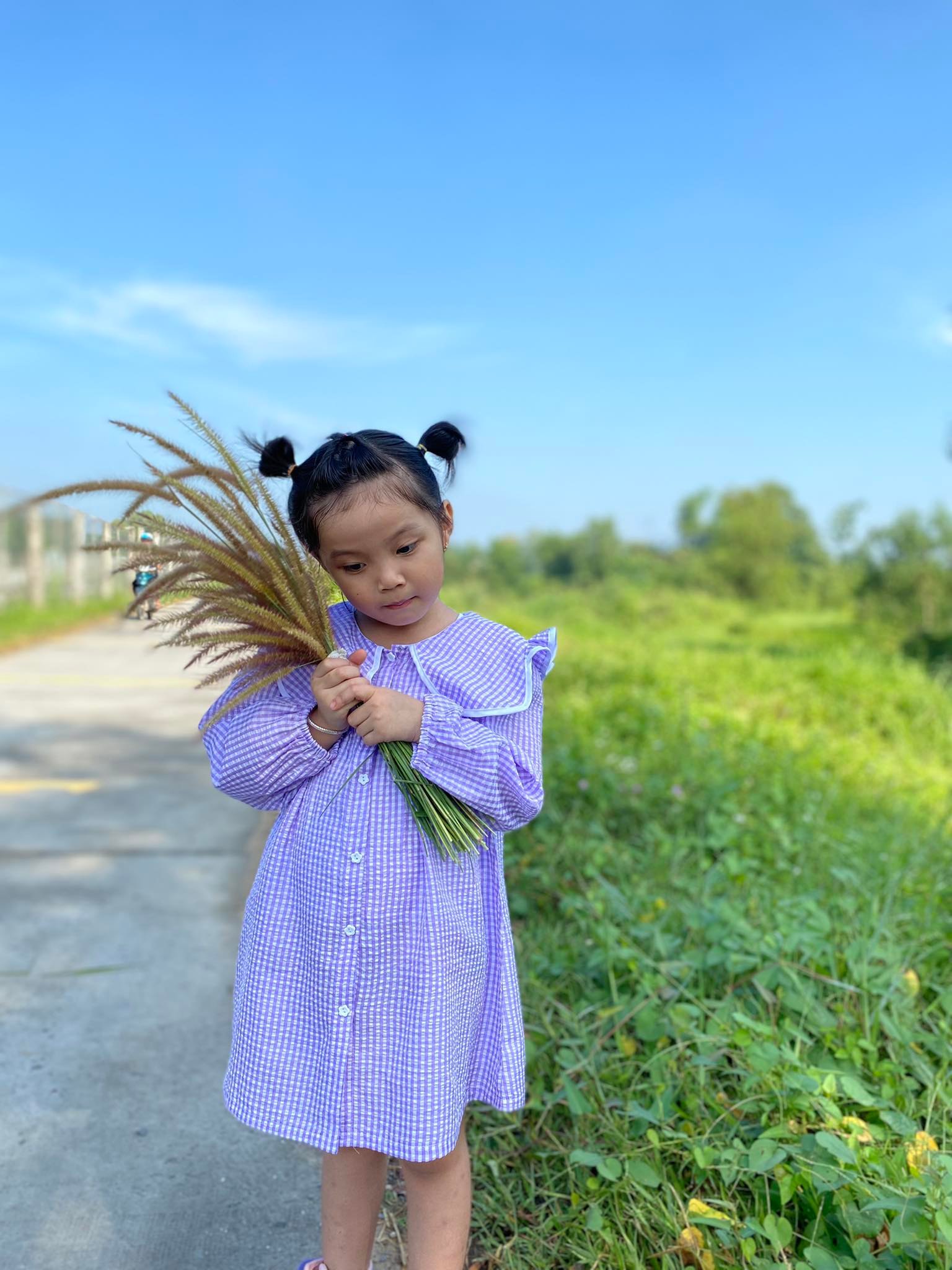 Đầm karo
