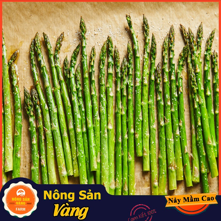 Hạt giống Rau Hoàng Đế (Măng Tây Xanh) Loại Cây Trồng Ưa Khí Hậu Mát, Ưa Ánh Sáng Mặt Trời (Gói 40 Hạt) - Nông Sản Vàng