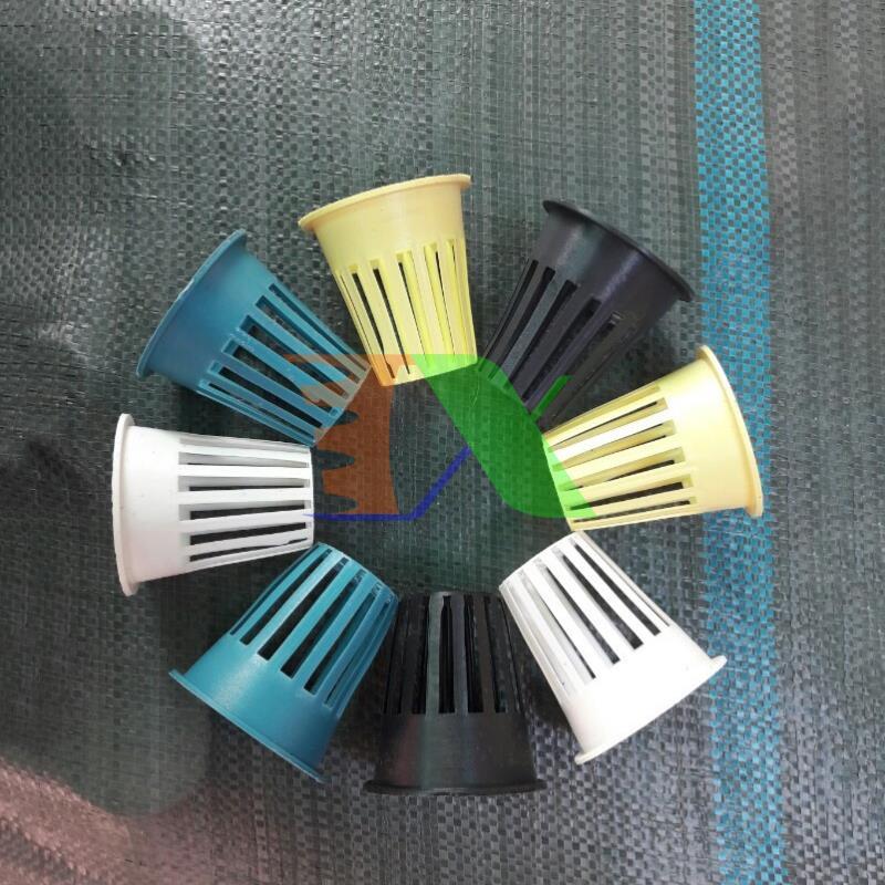 Set 100 gabion hydroponic growing D57, gabion plastic hydroponic, Cup planting hydroponic vegetables, gabion đựng price can hydroponic