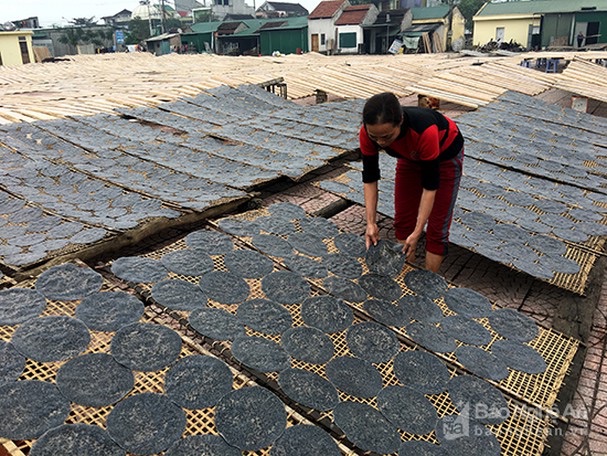 50 chiếc bánh đa đô lương siêu ngon