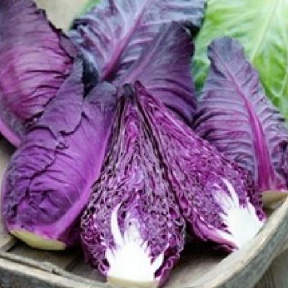 Hạt giống bắp trái tim tím(gói 1 gram)tặng kèm phân bón