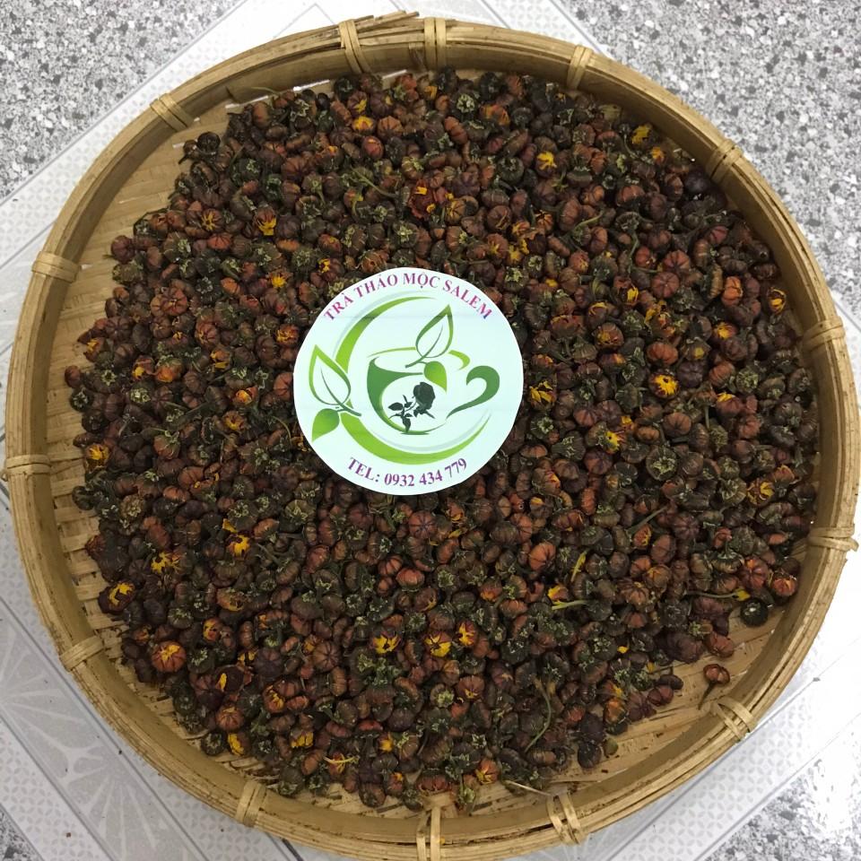 [HCM]Trà nụ hoa cúc Tây Tạng hoang dã 50g ( nụ hoàng cúc Tibet)