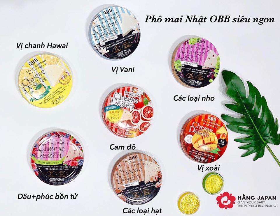 [HCM][NHẬT BẢN] PHÔ MAI CHO BÉ ĂN DẶM QBB