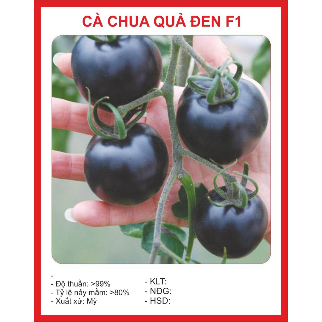 Hạt giống cà chua đen - 10hạt