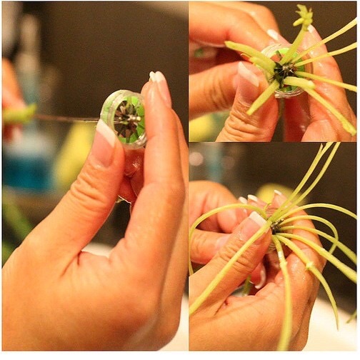 Dụng cụ chẻ rau muống siêu nhanh làm gỏi , nộm