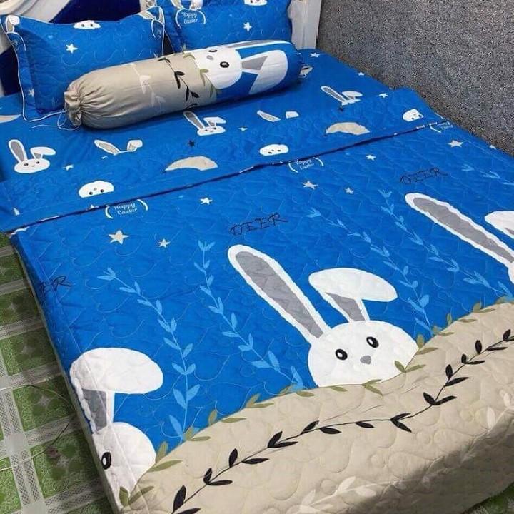 [HCM]bộ chăn mền cotton - bộ chăn mền cotton