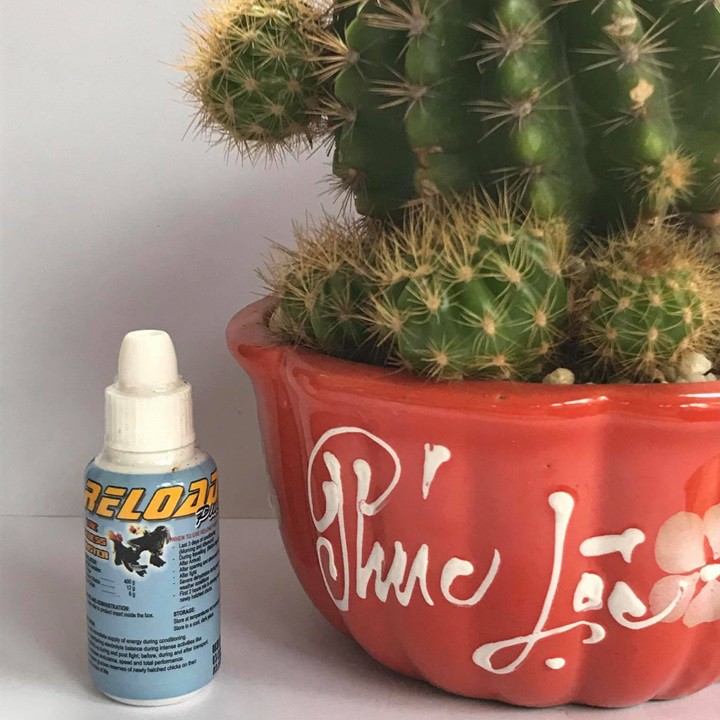 Thuoc Ga Da RELOAD PLUS - Chai x 15ML