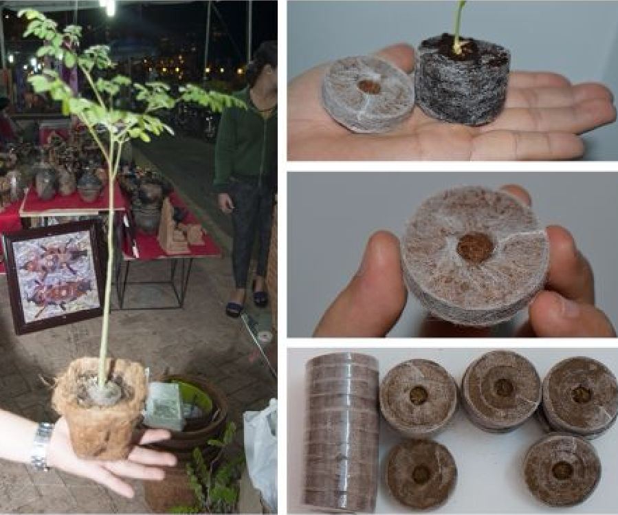 Bộ Viên nén sơ dừa ươm hạt giống ( 10 viên )