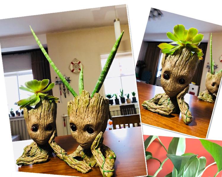 Chậu Cây Tiểu Cảnh Baby Groot Cực Kỳ Dễ Thương