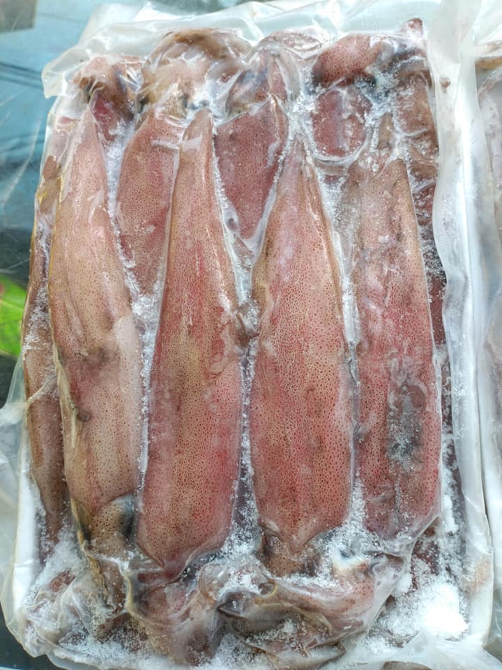 [CHỈ GIAO HÀ NỘI]  1KG Mực trứng