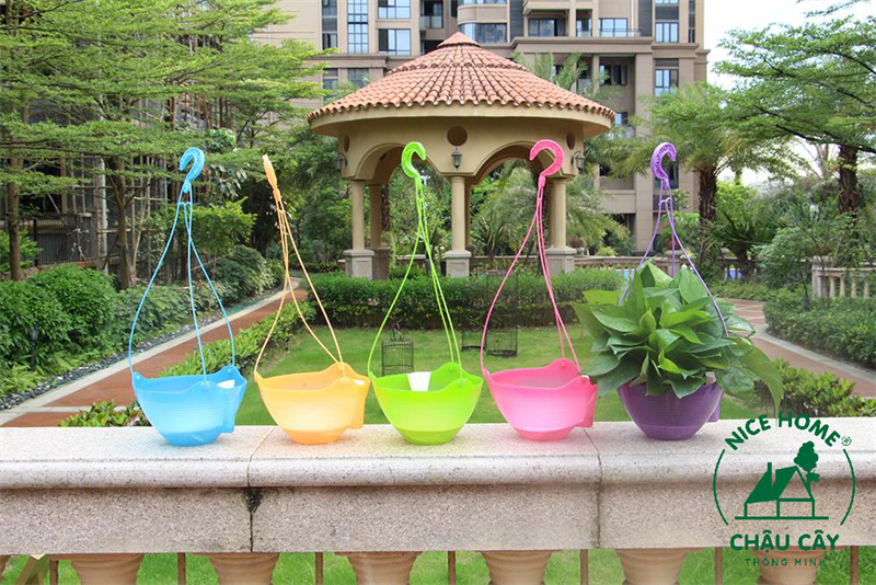 Chậu cây tự dưỡng thông minh- K02