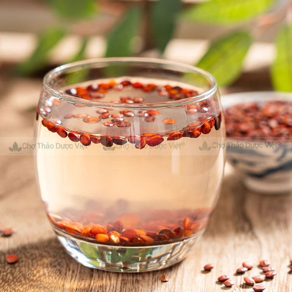 Táo nhân 100g, đã làm sạch sao thơm, hỗ trợ dưỡng tâm, an thần, cải thiện trí nhớ, mất ngủ