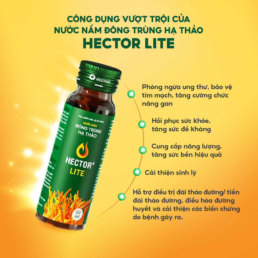 Nước Nấm Đông Trùng Hạ Thảo Hector Lite (Hộp 10 chai)