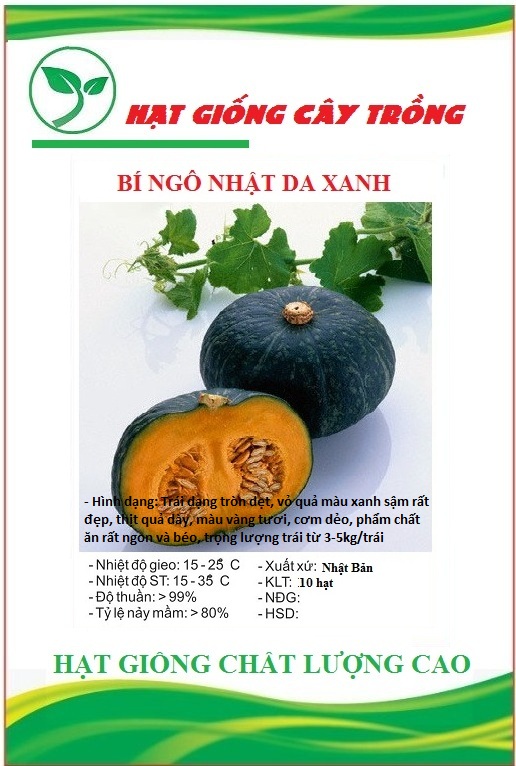 Hạt giống bí đỏ da xanh Nhật CT09 - Gói 10 hạt