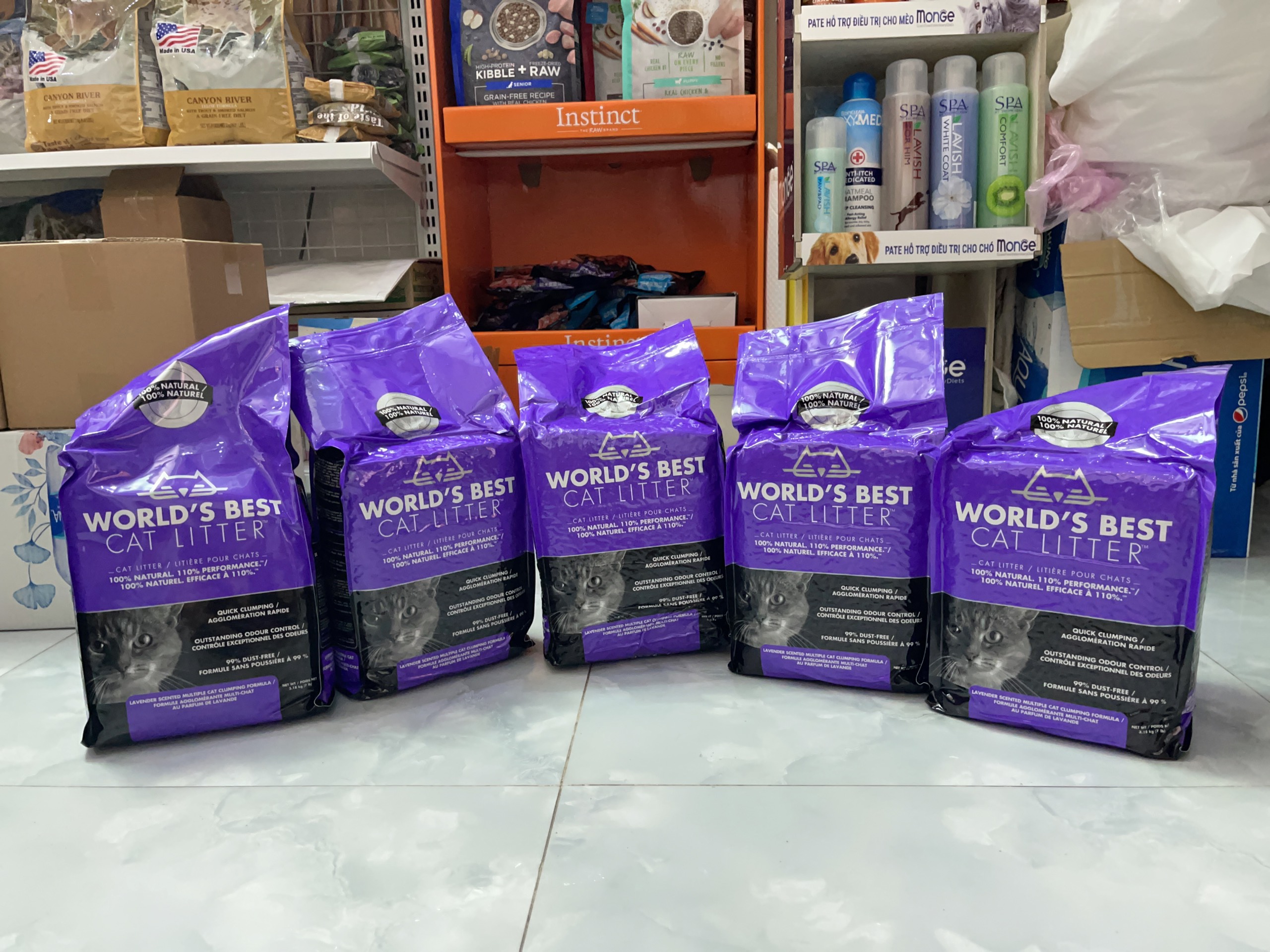 WORLD'S BEST sand for cat cleaning