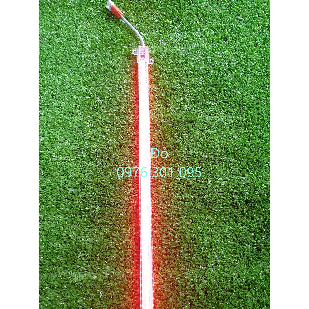 Đèn Led thanh điện trực tiếp 220V - 30cm (6 Màu)