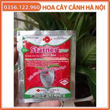 Combo 5 gói CHẾ PHẨM STARNER 20WP Nhật Bản gói 10g