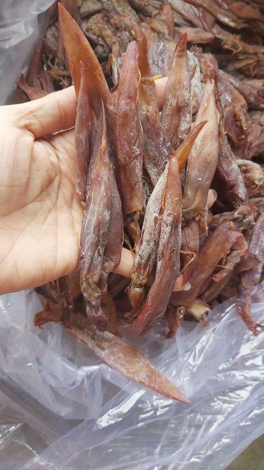MỰC MUỐI, 500g MỰC CƠM MUỐI NHẠT, ĐẶC SẢN NHA TRANG