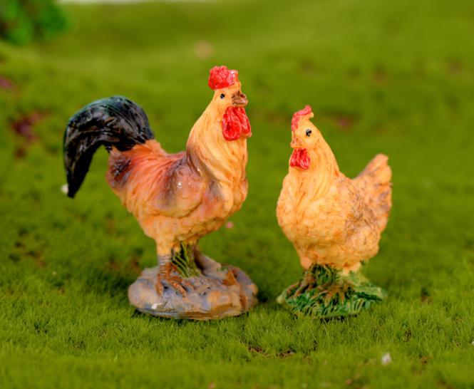 [HCM]Mô hình cặp gà trống mái cỡ lớn trang trí tiểu cảnh thủy sinh terrarium chậu cây cảnh sen đá bánh kem xương rồng