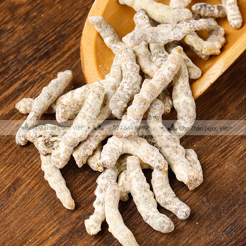 Bạch cương tằm 100g, tằm vôi khô, trắng, nguyên con - Chợ Thảo Dược Việt