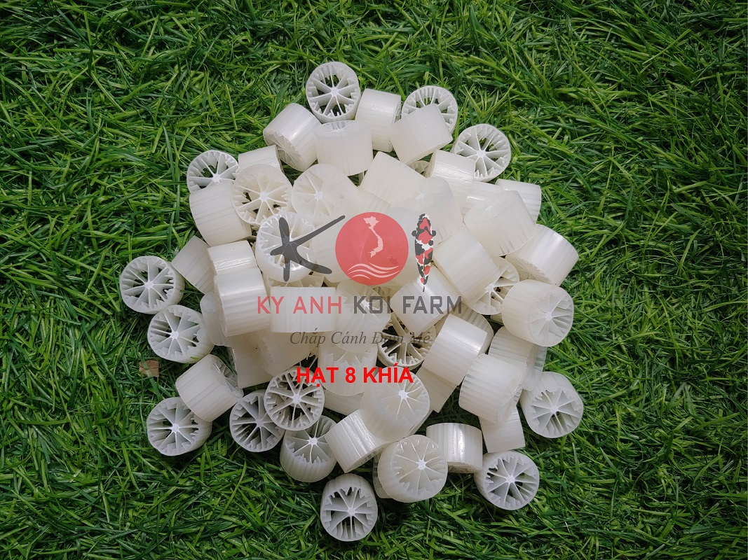 [HCM]Hạt lọc kaldnes trọng lượng 1kg