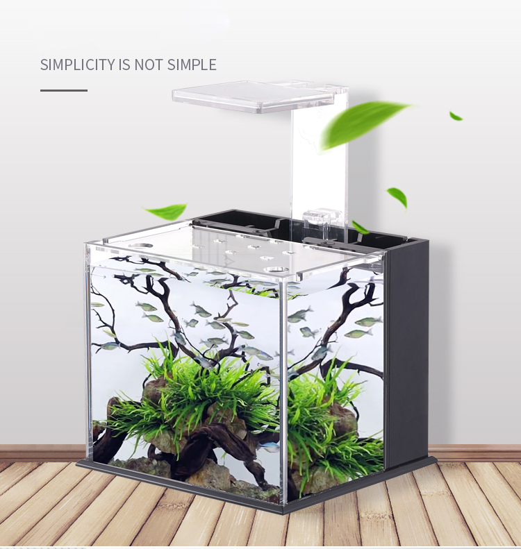 Bể cá mini để bàn Bể thủy sinh mini để bàn 07