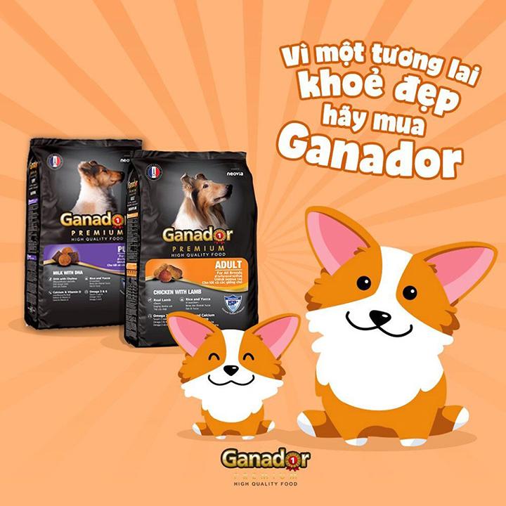 [HOÀN TIỀN 10%]Thức ăn cho chó con Ganador puppy - Cutepets