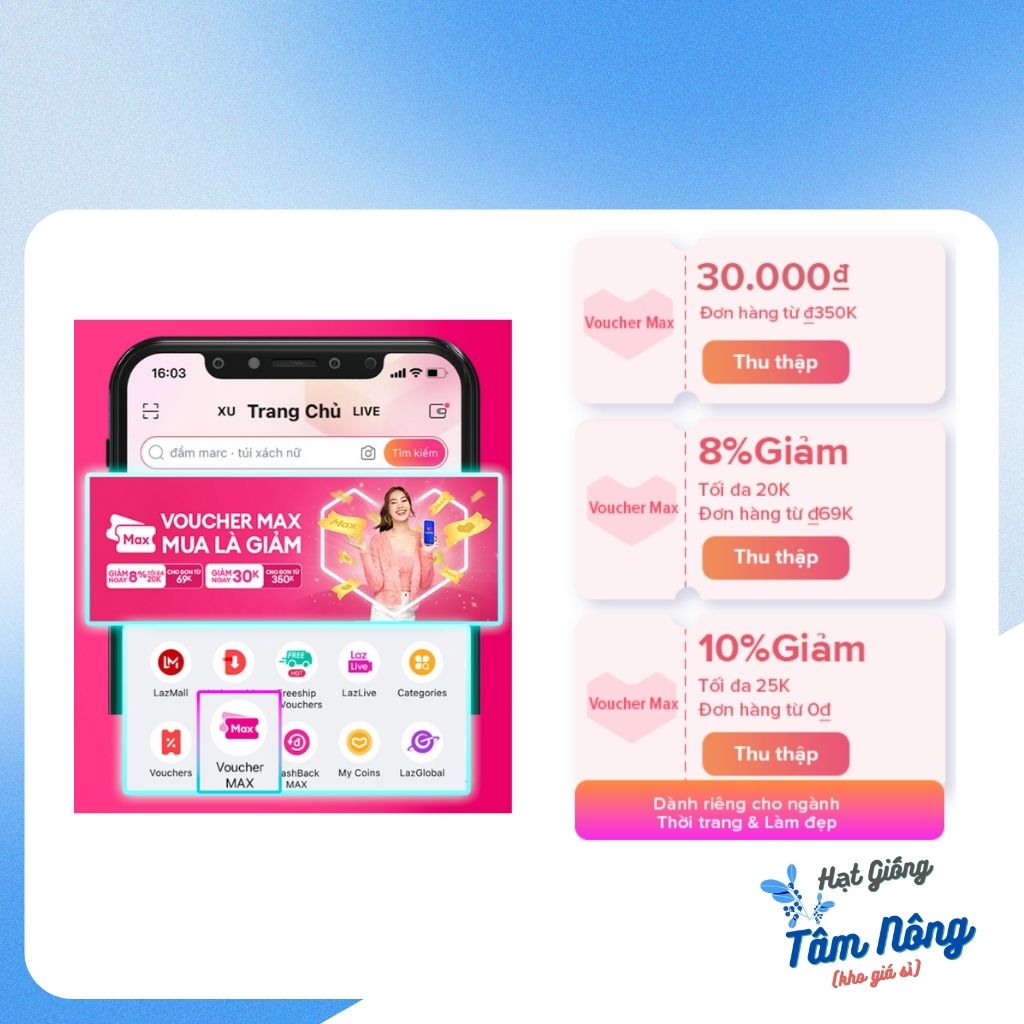 Hạt giống Cải bó xôi (rau BINA) chịu nhiệt Tâm Nông  gói 20g. Freeship đơn hàng từ 29k