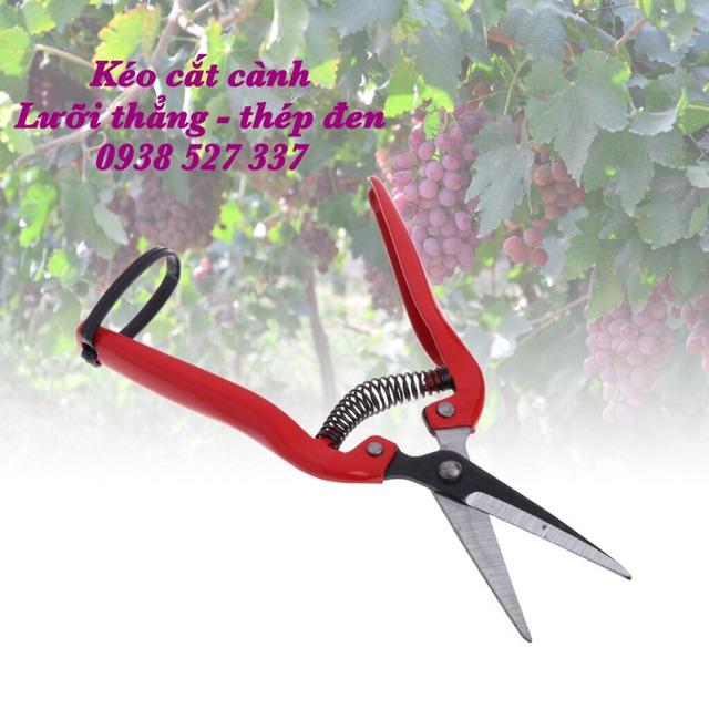 Kéo cắt tỉa cành lưỡi thép kéo mũi nhọn siêu bền giá rẻ