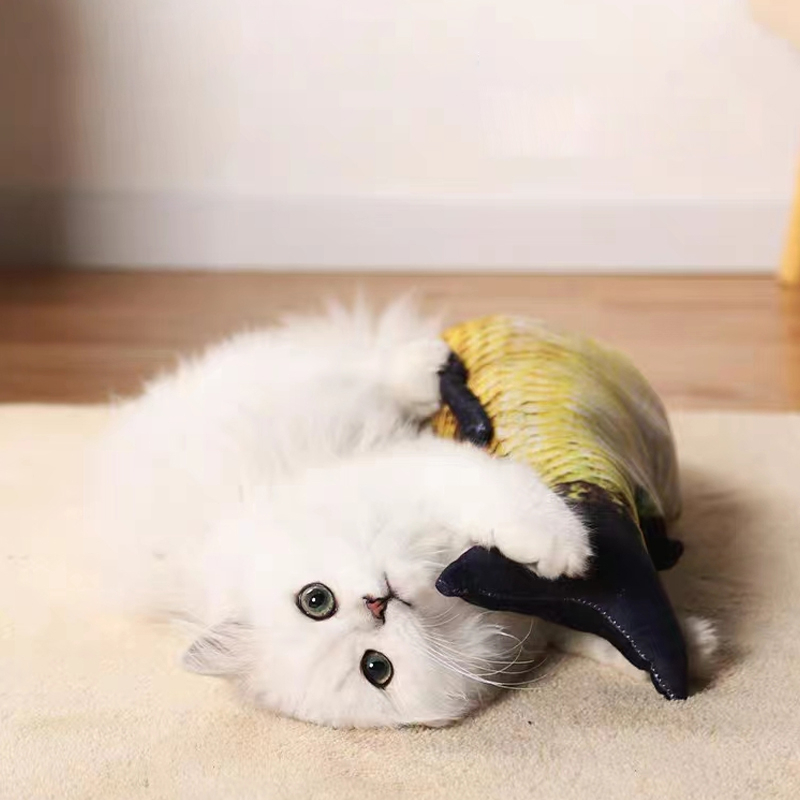Đồ chơi cá giả dành cho mèo, đồ chơi cho mèo