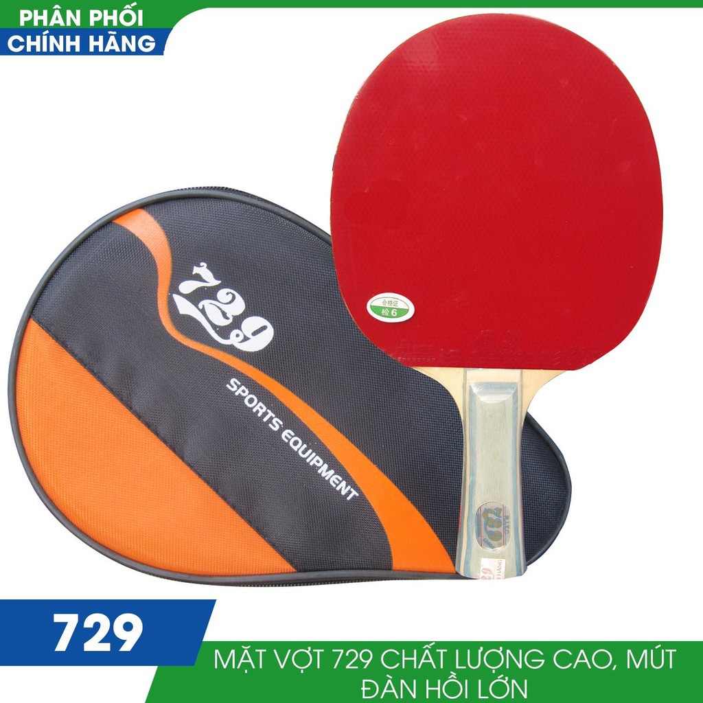 Vợt bóng bàn 729 1060