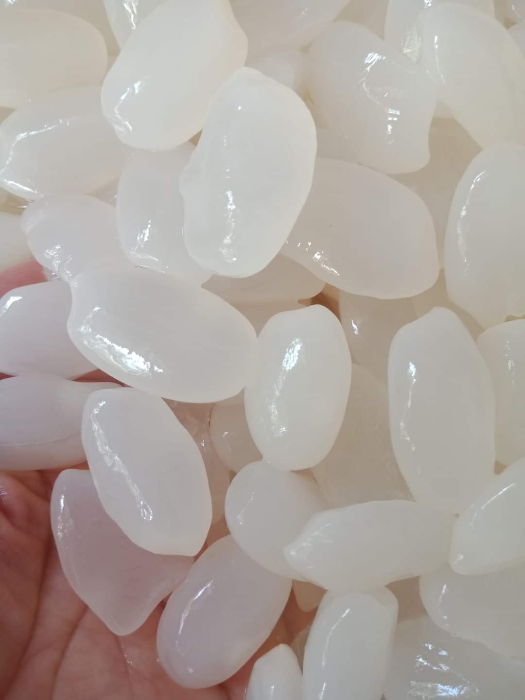 (Freeship) 2kg Hạt đác Nha Trang mềm dẻo túi 1kg