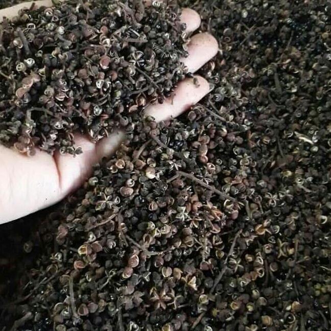 500g mắc khén rừng