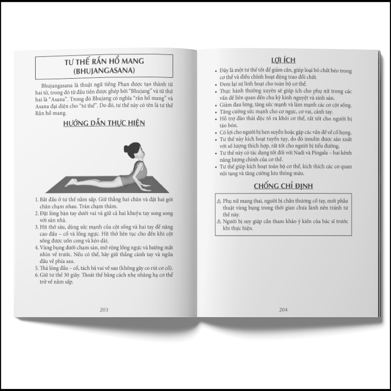 Sách - Yoga cho người mới bắt đầu