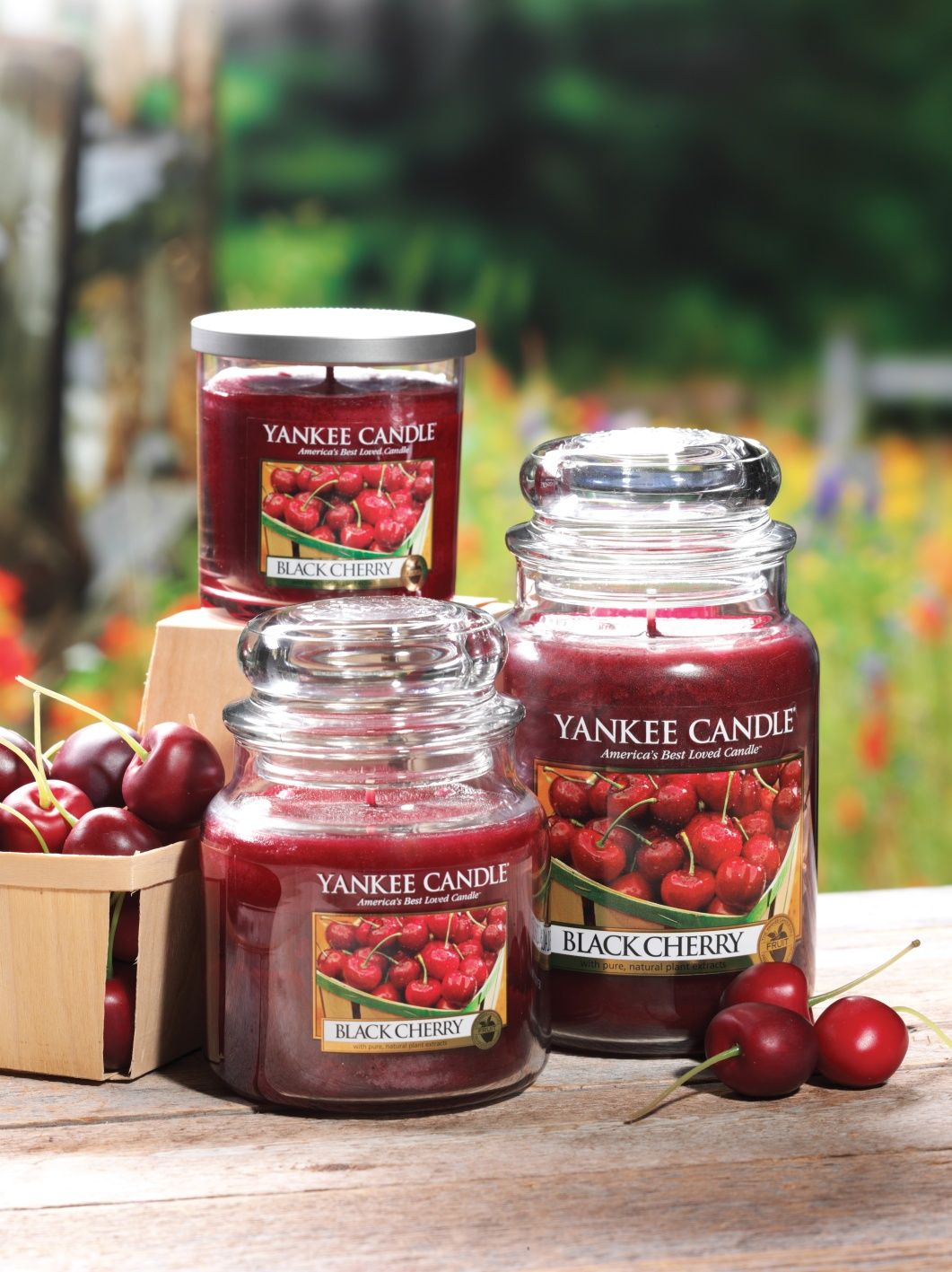 Hũ nến thơm Black Cherry Yankee Candle YAN8255 (Size L 623g)