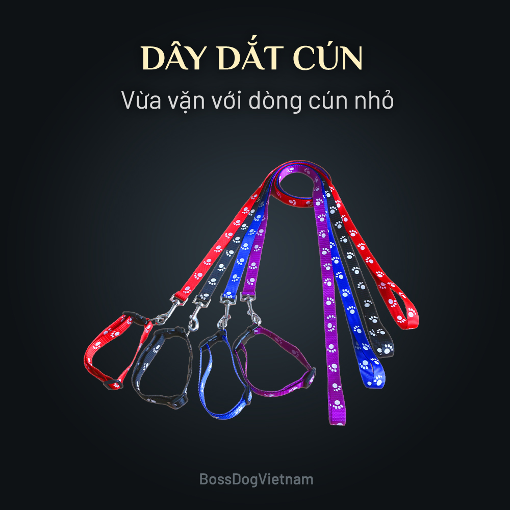 Dây dắt thú cưng cơ bản (Màu ngẫu nhiên) | BossDog