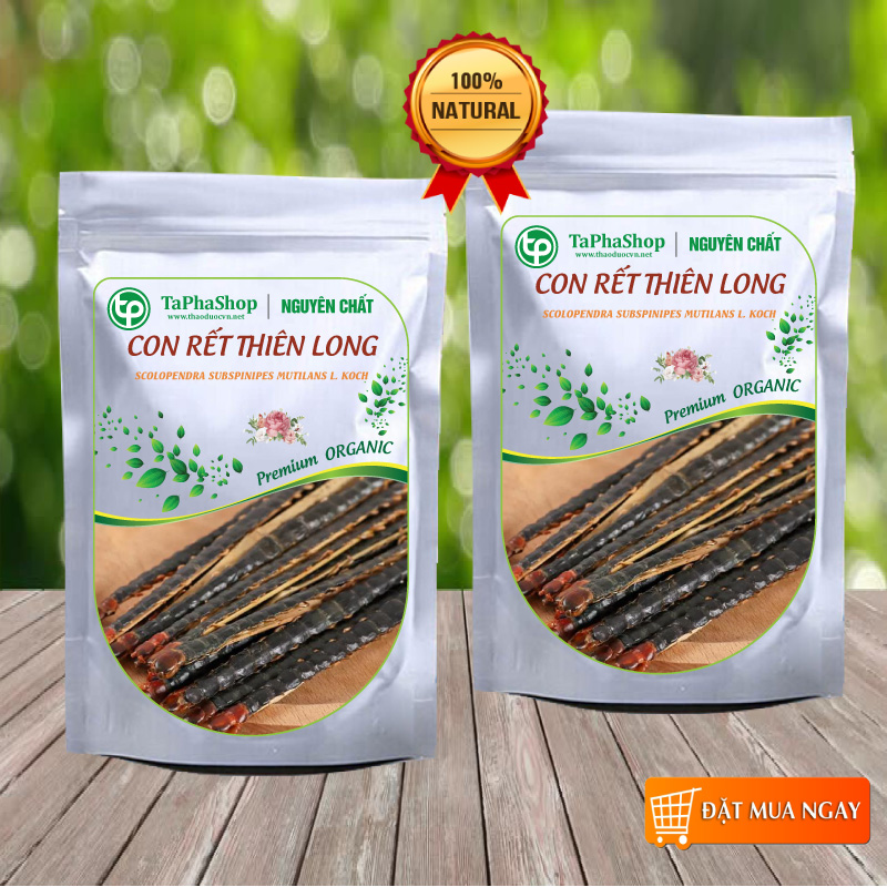 Con rết khô ( 1 con ), Rết khô nguyên con - Thảo Dược Tấn Phát