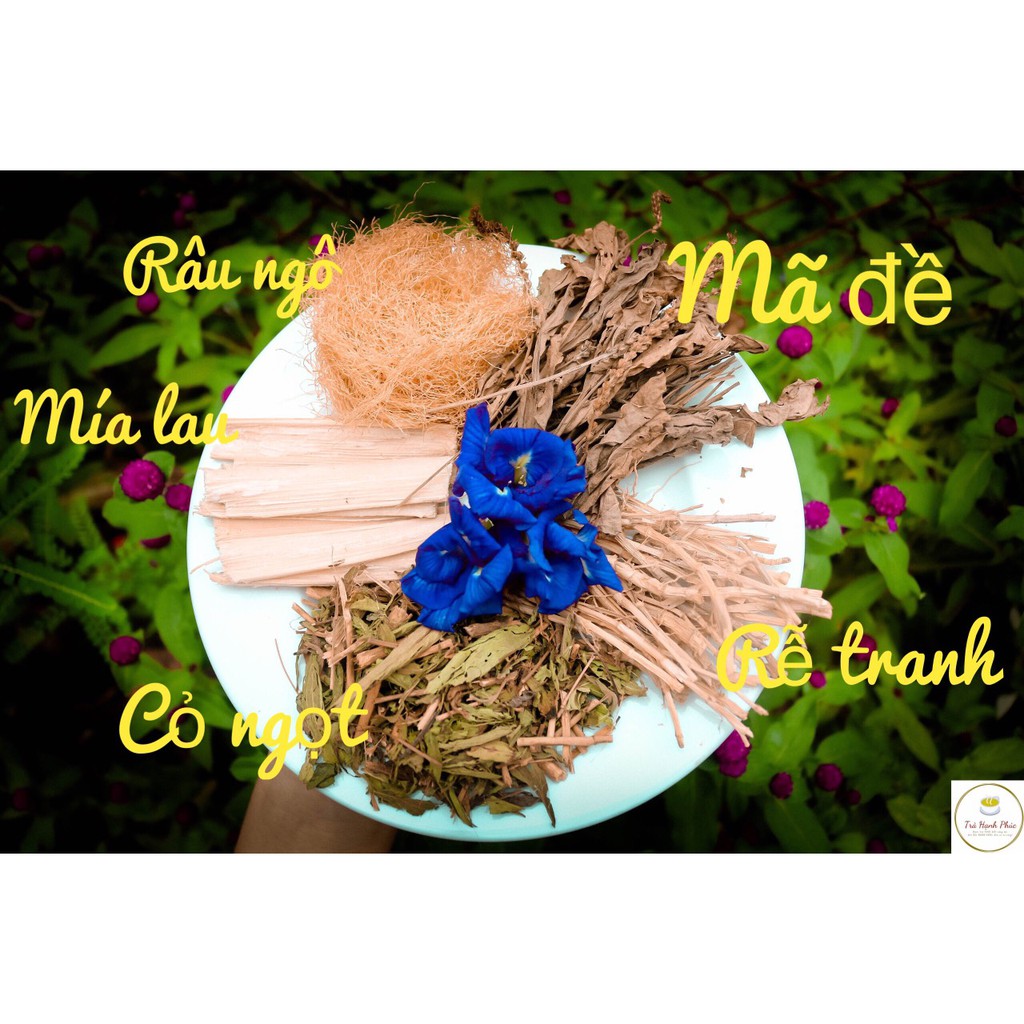 Combo 10 gói Trà mã đề ngũ vị (pha 1 lít/gói)