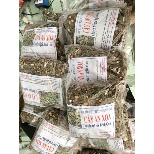 Cây an xoa sấy khô